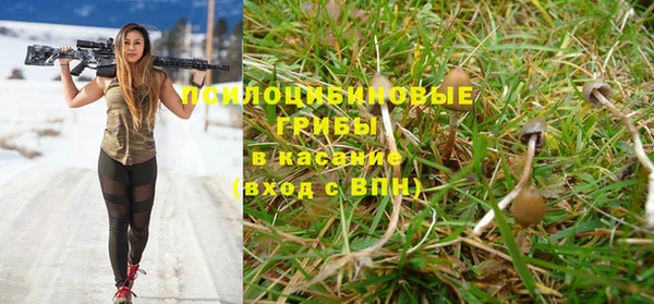 круглые Абаза