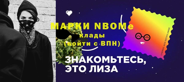 стаф Болотное