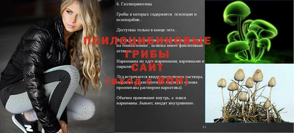 круглые Абаза