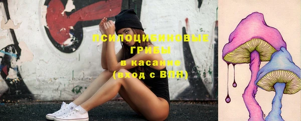 ГАЛЛЮЦИНОГЕННЫЕ ГРИБЫ Нязепетровск