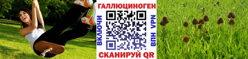 Галлюциногенные грибы Magic Shrooms  магазин продажи   Электроугли 